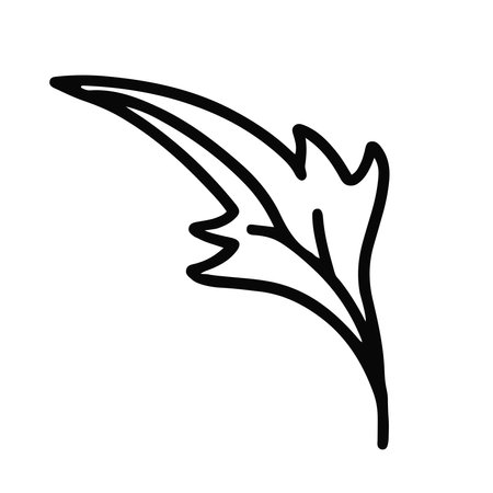 Hand drawn line art of sharp shaped leaf in doodle styleのイラスト素材