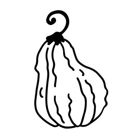 Hand drawn line art of pumpkin in doodle styleのイラスト素材