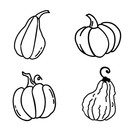 Set of hand drawn pumpkins in doodle style. Traditional halloween and thanksgiving elementsのイラスト素材