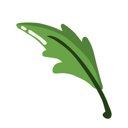 Illustration of sharp shaped green leaf in cartoon styleのイラスト素材