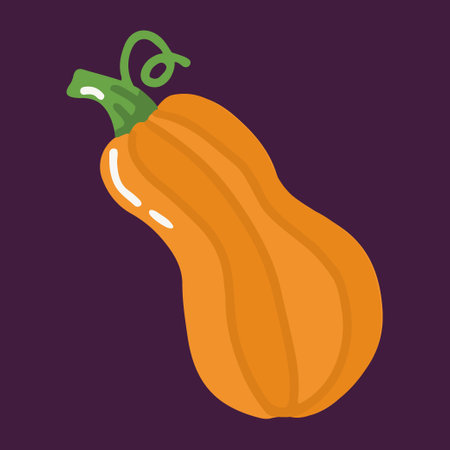 Vector isolated pumpkin illustration in flat designのイラスト素材