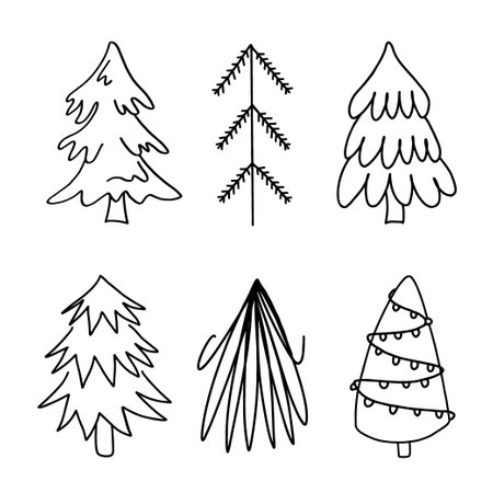 Set of hand drawn outline illustrations of firs. Coniferous trees in doodle styleのイラスト素材