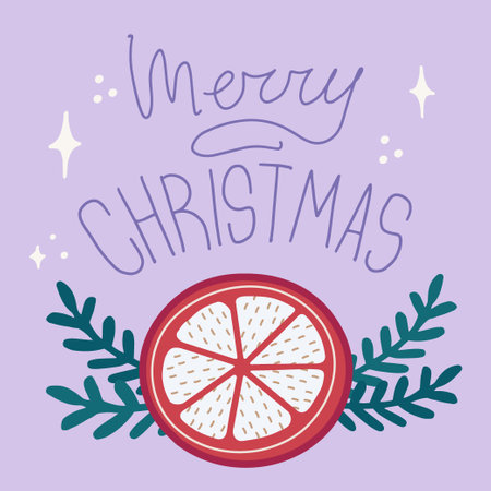 Vector christmas and new year card orange slice new year symbols. Illustration with merry christmas lettering.のイラスト素材