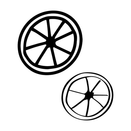 Hand drawn outline illustration of sliced orange. Fruit in doodle styleのイラスト素材
