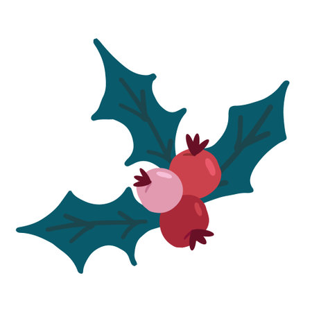 Hand drawn illustration of holly. Christmas decorative floral element in doodle styleのイラスト素材