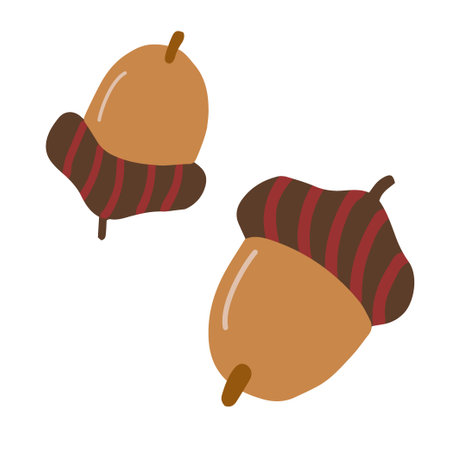 Hand drawn illustration of acorns. Oak nut in doodle styleのイラスト素材