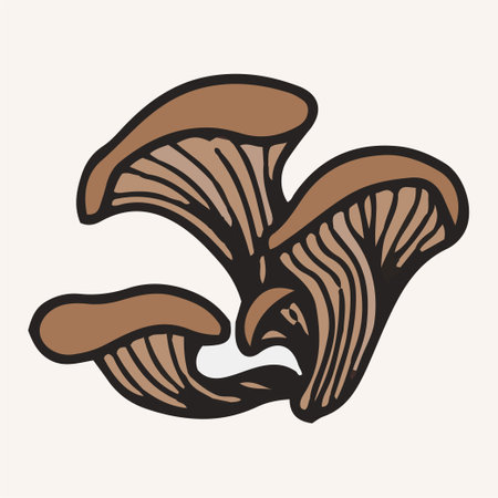 Oyster mushrooms, vector illustration. Hand drawn art of edible mushrooms.のイラスト素材