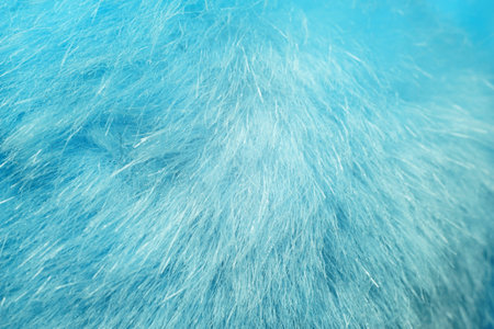 blue fur background