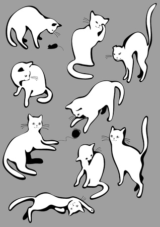 The complete set of white cats のイラスト素材