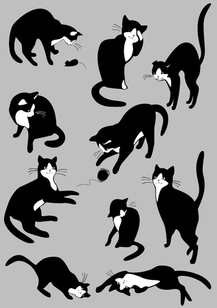 The complete set of cats 2. similar to the portfolioのイラスト素材