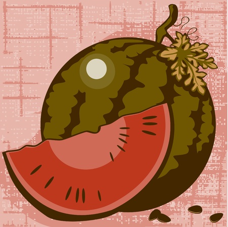 watermelon and lobule on a wattled backgroundのイラスト素材
