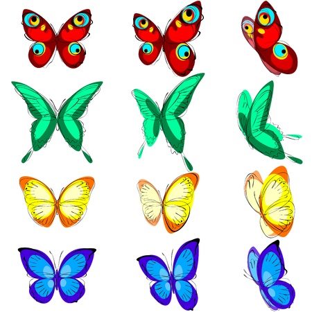 a set of different butterflies, various types, color options and locationのイラスト素材