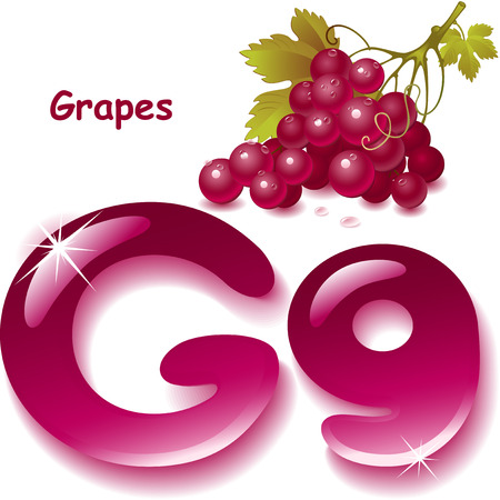 Alphabet. English capital and uppercase letter G, stylized color of grapes juice. bunch grapes with leaf. vector illustrationのイラスト素材