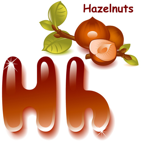 Alphabet. English capital and uppercase letter H, stylized color of hazelnut. hazelnut with shell and half nuts. vector illustrationのイラスト素材