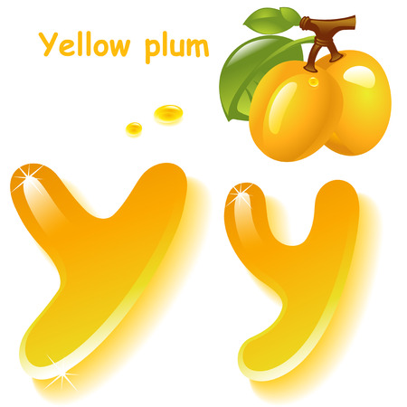 Alphabet. English capital and uppercase letter Y, stylized color of yellow plum juice.  branch yellow plum with leaf. vector illustrationのイラスト素材