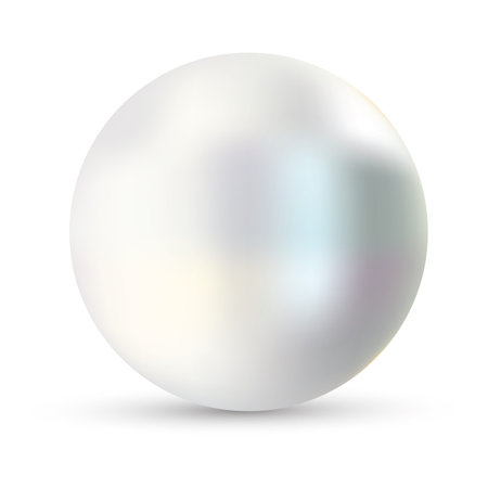 Single pearl vector illustration. Pearl isolated on white backgorund with shadow. 3d natural oyster, pearl, shiny sea pearl.のイラスト素材