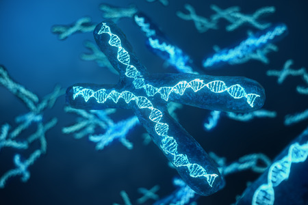 3D illustration X-Chromosomes with DNA carrying the genetic code. Genetics concept, medicine concept. Future, genetic mutations. Changing the genetic code at the biological level.の写真素材
