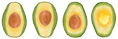 Set of realistic avocado, evergreen fruit plant, single-seeded berry. 3d vector.