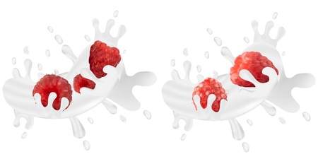 Set of realistic milk splashes together with raspberries isolated against a white background. Vector illustration.のイラスト素材
