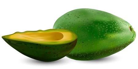 Set of realistic green avocado. Vector illustration. Exotic evergreen fruit plants. Isolation on a white background.のイラスト素材