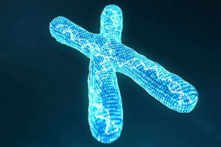X digital, artificial chromosomes with DNA carrying the genetic code. Genetics concept, artificial intelligence concept. Binary code in the human genome. Future, genetic mutations. 3D illustrationの写真素材