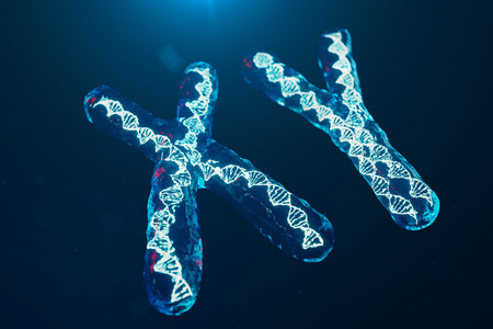 XY-Chromosomes with DNA carrying the genetic code. Genetics concept, medicine concept. Future, genetic mutations. Changing the genetic code at the biological level. 3D illustrationの写真素材