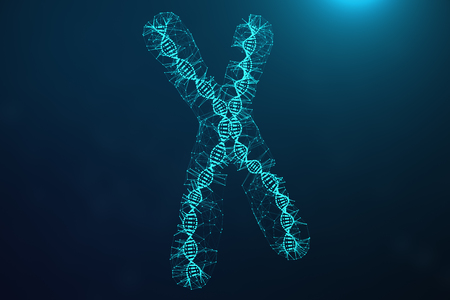 Polygonal Low poly 3D Rendering Digital Artificial Chromosomes Consisting Of Consisting Dots And Lines With DNA Carrying The Genetic Code. Genetics Concept, Artificial Intelligence Concept. Binary Code In The Human Genome, Future, Genetic Mutations.の写真素材