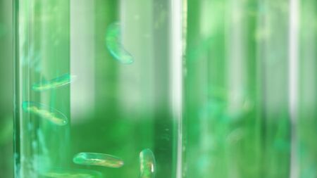 3D Illustration biofuel oil research in the laboratory, biofuel concept. Bacteria in the liquid inside the test tube as fuel. Biotechnology. Glassware flasks. Laboratory research concept. Test tubesの写真素材