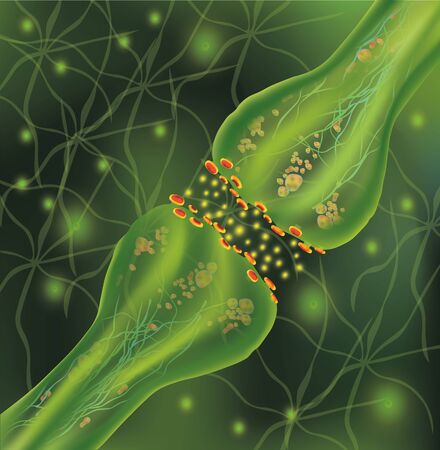 Signaling in the brain. Neural connections in the brain form thoughts, concept learning. Transmission of impulses in a living organism. Neural isolated on green background. Synapse and Neuron cells. 3d vector for medical presentationsのイラスト素材