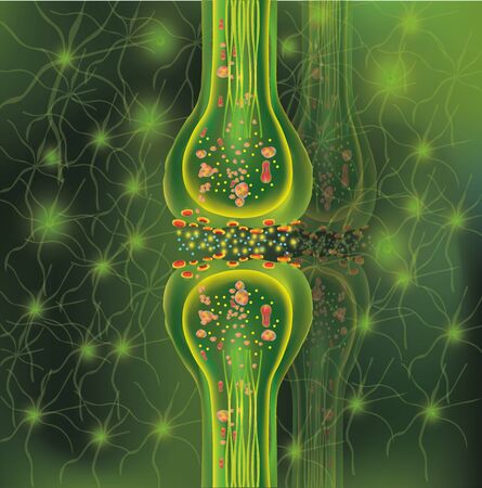 3D synapse and Neuron cells. Transmission signal of impulse in a living organism. Communication of neurons. Signaling in the brain. Concept learing. Vector illustration.のイラスト素材