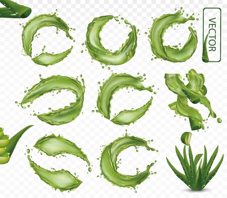 3D realistic fresh aloe vera on with splash liquid on transparent background. Herbal medicine for skin care and hair. Juice aloe. Cactus or aloe vera closeup. EPS 10.のイラスト素材