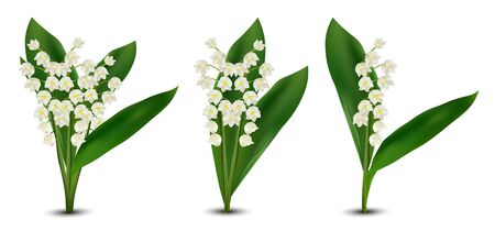 3d realistic Lilly of the valley flowers. Fragrant lily of the valley on white background. Bunch flower. Set vector illustration.のイラスト素材