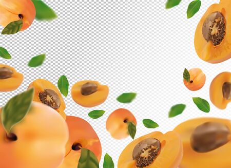 Apricot background. Fresh apricot with green leaf on transparent background. 3D realistic fruits. Falling apricot.Nature product. Vector illustration. Vector illustrationのイラスト素材