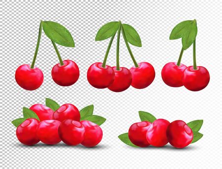 Collection ripe fresh cherry with green leaves on transparent background. 3D realistic fruits. Nature product. Vector illustration.のイラスト素材