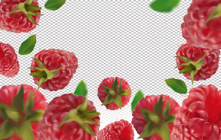 Raspberry background. Flying raspberry with green leaf on transparent background. Raspberry falling...