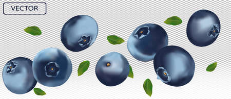 3D blueberry with green leaf. Juicy ripe berry blueberries on a transparent background. Fresh wild summer berry. Illustration for your poster, banner. Vector illustrationのイラスト素材