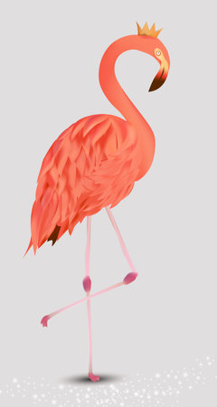 Flamingo pink on white background. Exotic Bird Flamingo. Realistic vector illustration.のイラスト素材