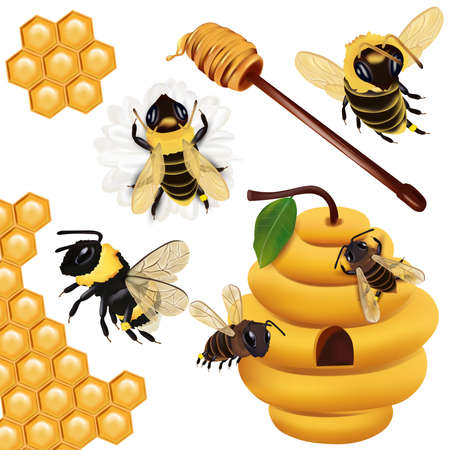 Set Honey bee, wasp, bumblebee, honeycomb, beehive, honey dipper with honey on white background. 3d Vector icon.のイラスト素材