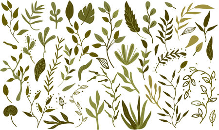 Big Botanical set of green leaves, branches, herbs and decorative leaves. Bright green foliage in boho style. Botany collection for wedding, card, banner, greetings. Vector illustration.のイラスト素材