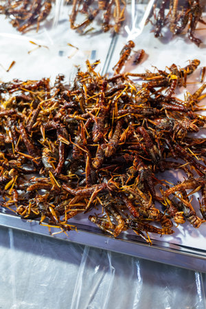 Fried crickets, edible insect and bugs at market in Thailand, close-up with selective focus. Food...