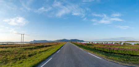 Andoya scenic landscape with long straight road leading into horizon in Norway. national tourist...