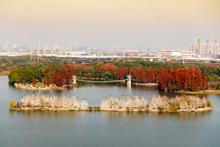 A serene lake dotted with vibrant autumn-colored islands and snowy egrets, framed by a distant city skyline and subtle urban elements, blending nature and urban harmony.の写真素材