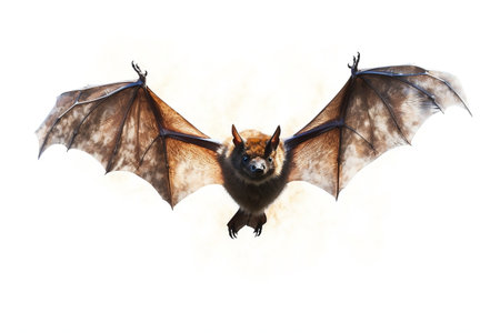 Bat Isolated on a Transparent Background. AIの素材