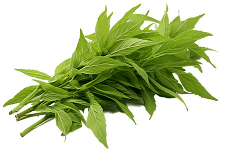 Lemon Verbena Isolated on Transparent Background. AIの素材