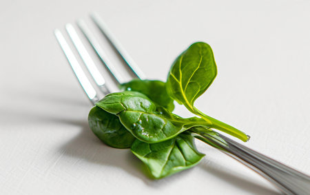 Fresh Salad Fork On White Background.の素材