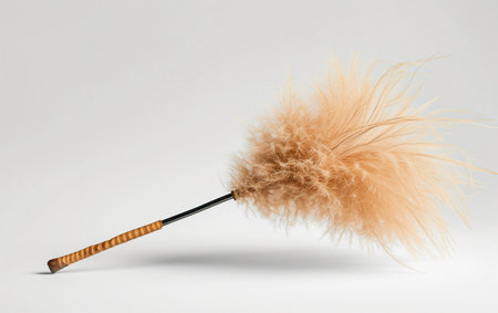 Minimalist Feather Duster for Contemporary Homes On White Background..の素材