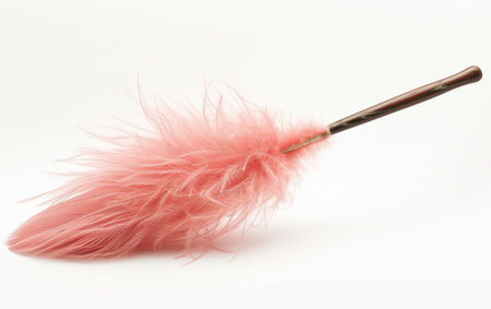 Feather Duster for Homes On White Background..の素材