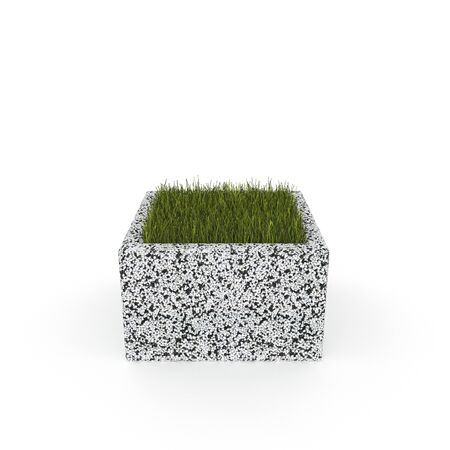 3D flower pot renderの写真素材