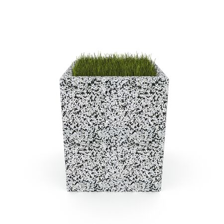 3D flower pot renderの写真素材