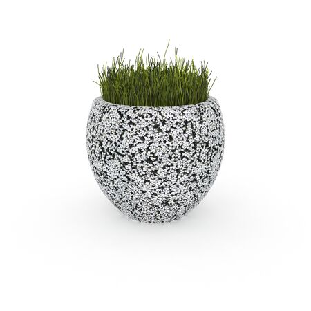 3D model flower potの写真素材